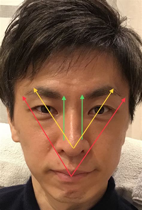 右眉毛二根長